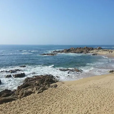 Farol 레카다팔메이라